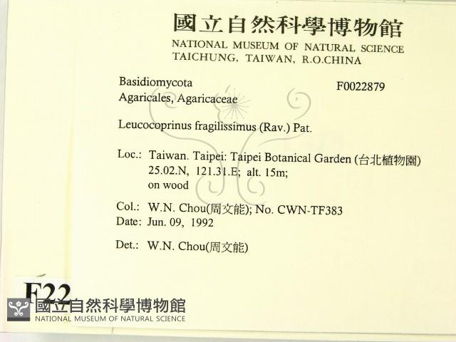 登錄號:F0022879藏品圖，第2張