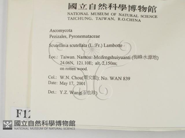 登錄號:F0012879藏品圖，第2張