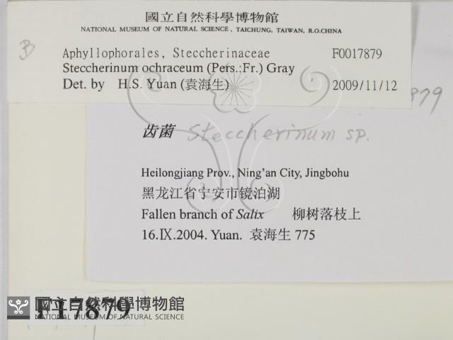 登錄號:F0017879藏品圖，第2張