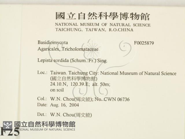 登錄號:F0025879藏品圖，第2張