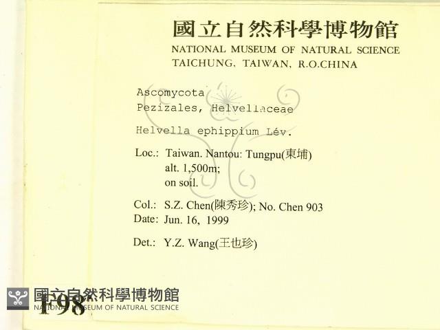 登錄號:F0009879藏品圖，第2張
