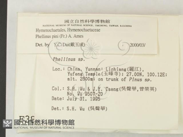 登錄號:F0003879藏品圖，第2張