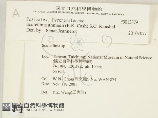 登錄號:F0013879藏品圖，第2張