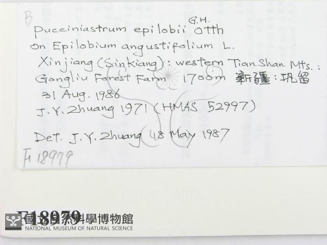 登錄號:F0018979藏品圖，第2張