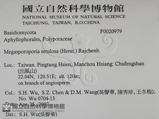 登錄號:F0020979藏品圖，第2張