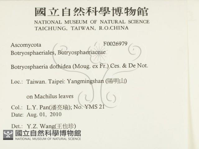 登錄號:F0026979藏品圖，第2張