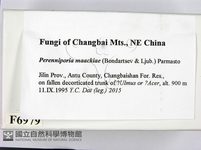 登錄號:F0006979藏品圖，第2張