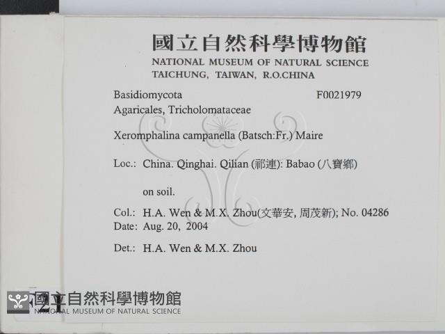 登錄號:F0021979藏品圖，第2張