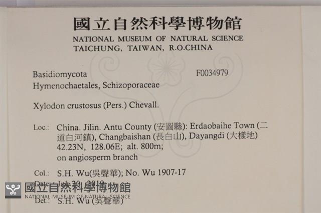 登錄號:F0034979藏品圖，第2張