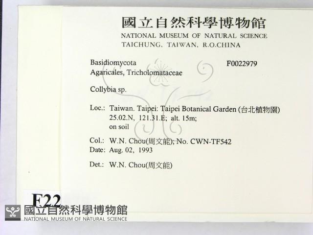 登錄號:F0022979藏品圖，第2張