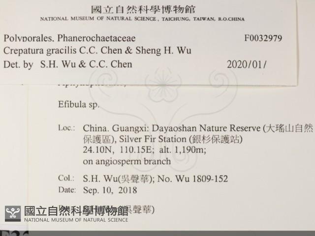 登錄號:F0032979藏品圖，第2張