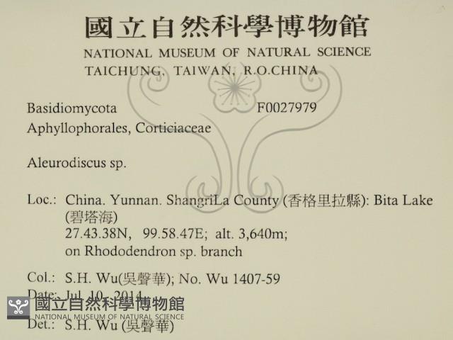 登錄號:F0027979藏品圖，第2張