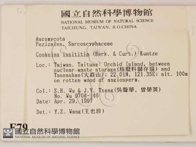 登錄號:F0007979藏品圖，第2張