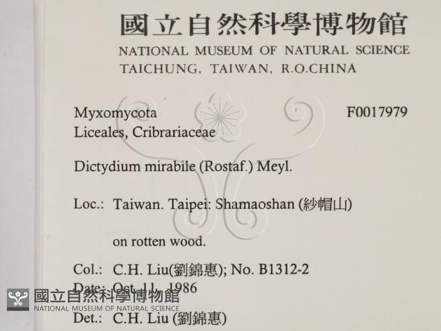 登錄號:F0017979藏品圖，第2張