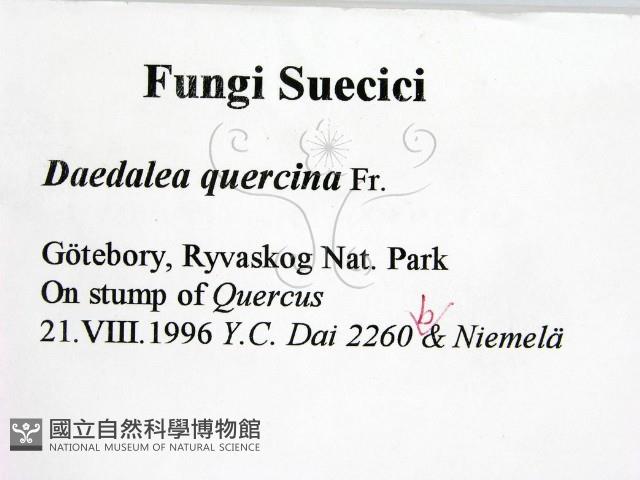 登錄號:F0005979藏品圖，第2張