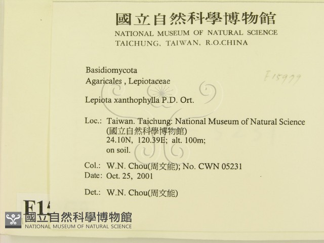 登錄號:F0015979藏品圖，第2張