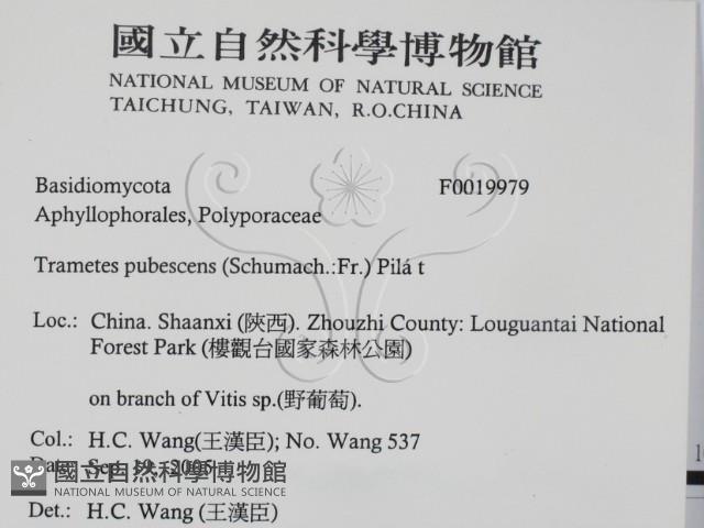 登錄號:F0019979藏品圖，第2張