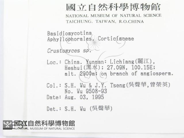 登錄號:F0003979藏品圖，第2張