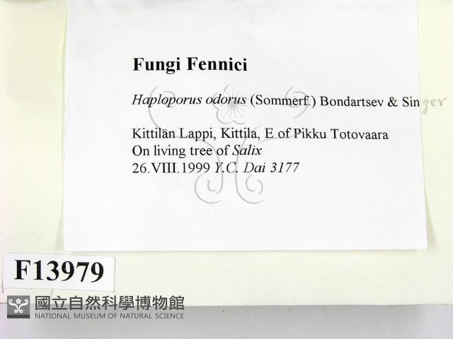 登錄號:F0013979藏品圖，第2張