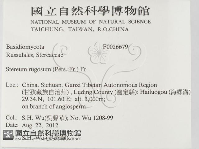 登錄號:F0026679藏品圖，第2張