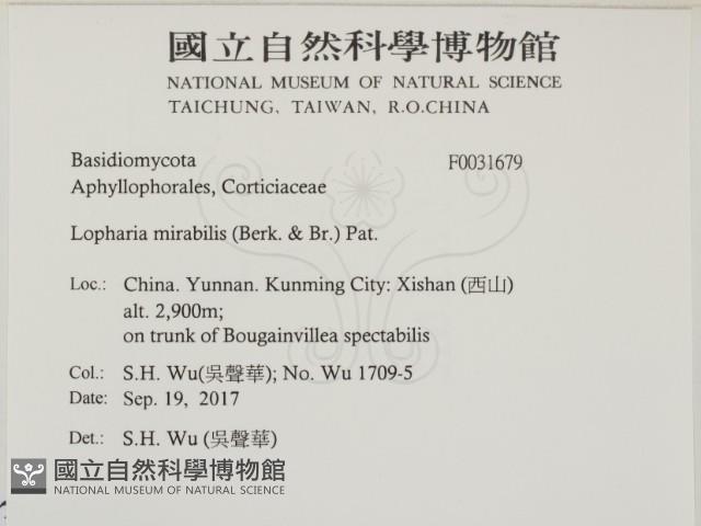 登錄號:F0031679藏品圖，第2張