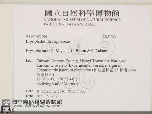 登錄號:F0034679藏品圖，第2張