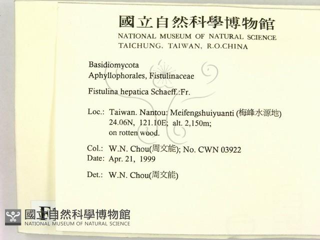登錄號:F0012679藏品圖，第2張