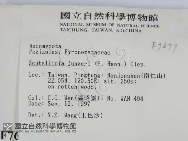 登錄號:F0007679藏品圖，第2張