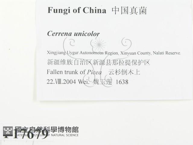 登錄號:F0017679藏品圖，第2張