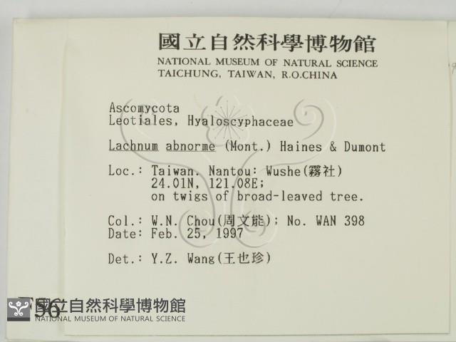 登錄號:F0005679藏品圖，第2張