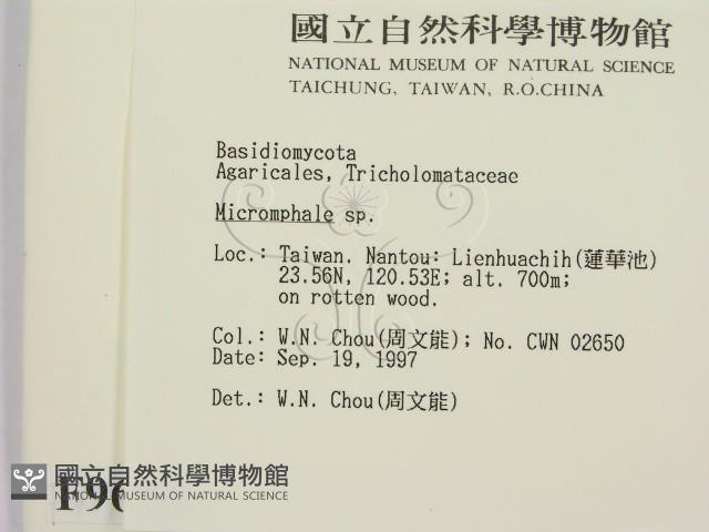 登錄號:F0009679藏品圖，第2張