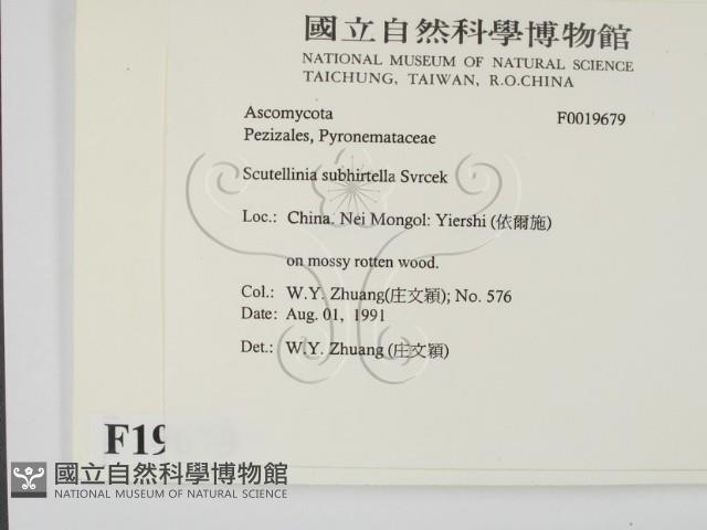 登錄號:F0019679藏品圖，第2張
