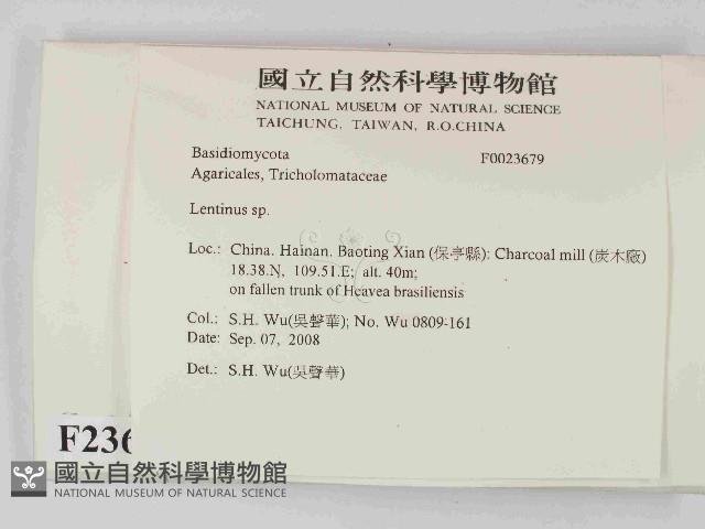 登錄號:F0023679藏品圖，第2張