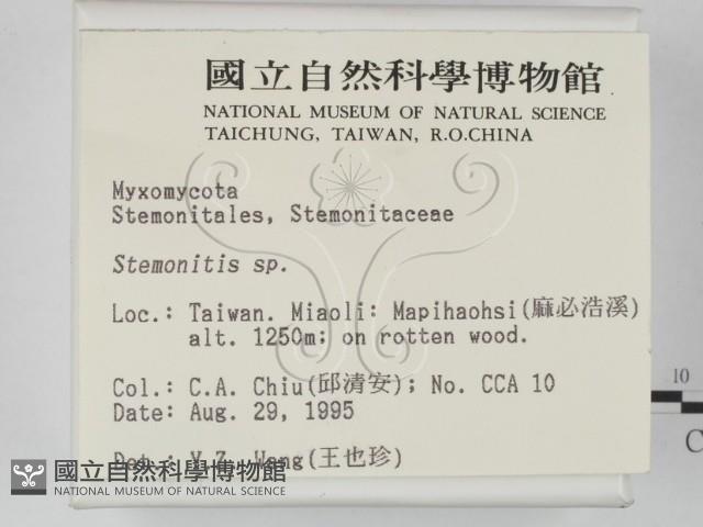 登錄號:F0003679藏品圖，第2張