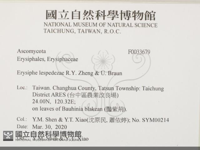 登錄號:F0033679藏品圖，第2張