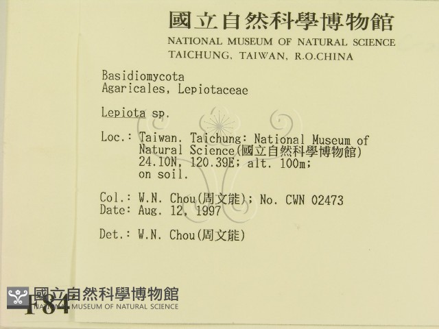 登錄號:F0008479藏品圖，第2張