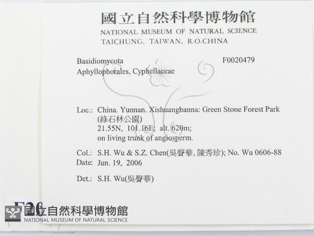登錄號:F0020479藏品圖，第2張