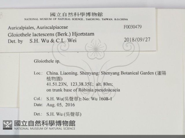 登錄號:F0030479藏品圖，第2張