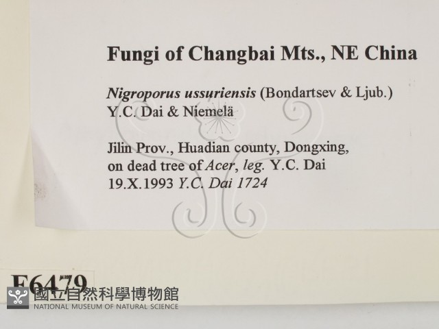 登錄號:F0006479藏品圖，第2張