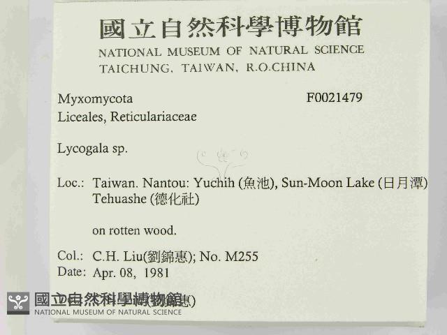 登錄號:F0021479藏品圖，第2張