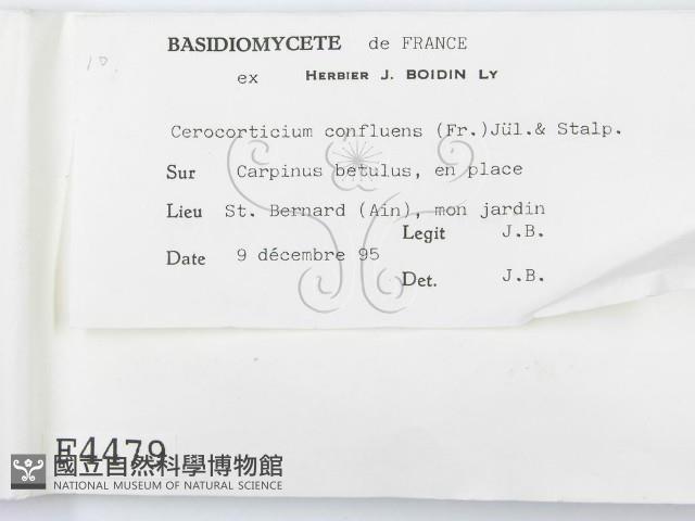 登錄號:F0004479藏品圖，第2張