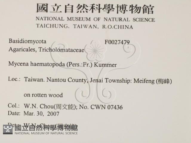 Accession Number:F0027479 Collection Image, Figure 2, Total 2 Figures