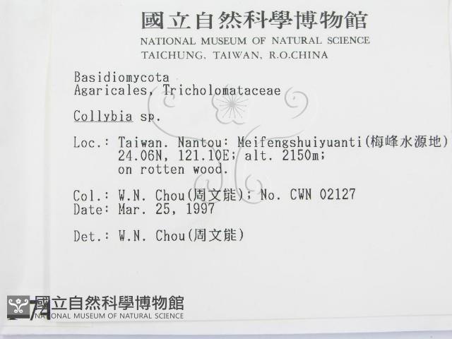 登錄號:F0007479藏品圖，第2張