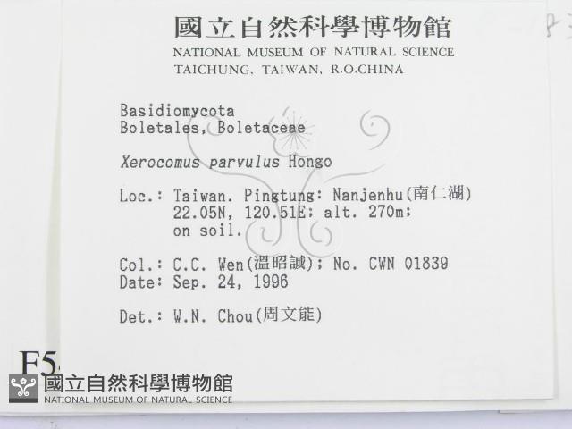 登錄號:F0005479藏品圖，第2張
