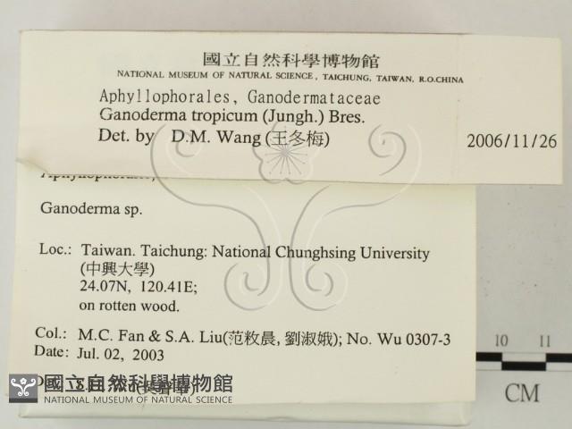登錄號:F0015479藏品圖，第2張
