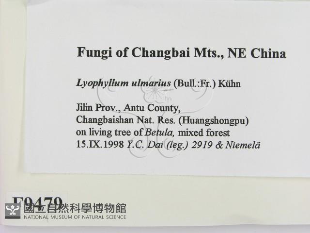 登錄號:F0009479藏品圖，第2張