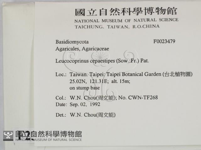 登錄號:F0023479藏品圖，第2張