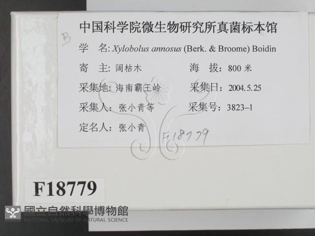 登錄號:F0018779藏品圖，第2張