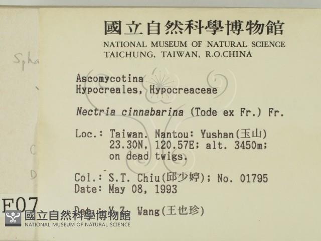 登錄號:F0000779藏品圖，第2張