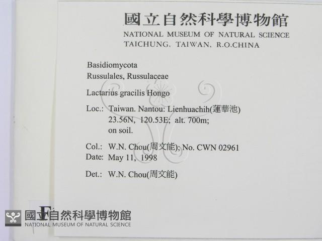 登錄號:F0010779藏品圖，第2張